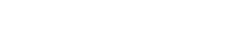 Allegros Consulting